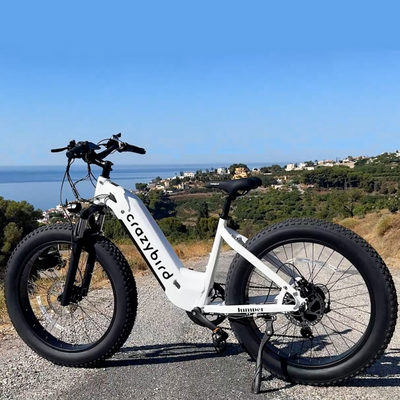 Crazybird Jumper fat tire ebike