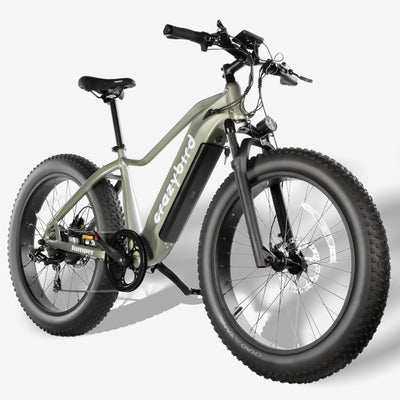 Crazybird Jumper fat tire ebike