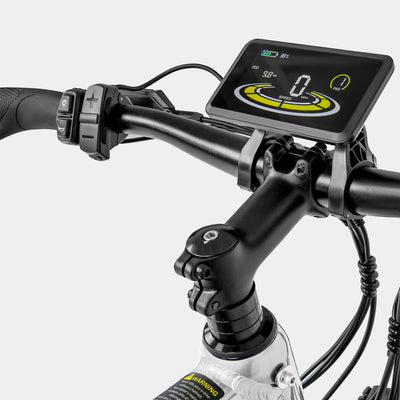 Crazybird Jumper fat tire ebike