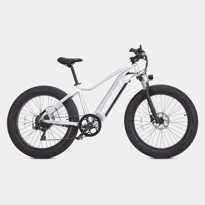 Crazybird Jumper fat tire ebike