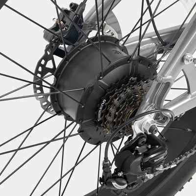 Crazybird Jumper fat tire ebike