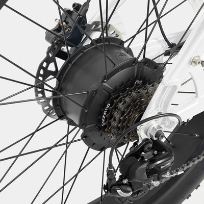 Crazybird Jumper fat tire ebike