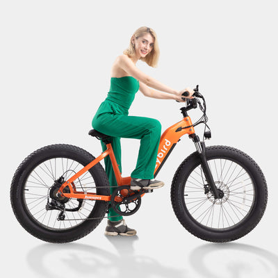 Crazybird Jumper fat tire ebike