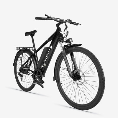 Crazybird C3 E-bike