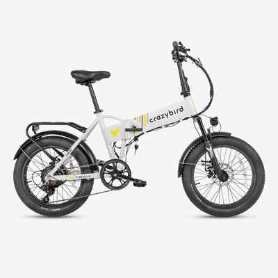 Crazybird CB10 foldable ebike
