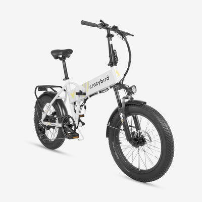 Crazybird CB10 foldable ebike