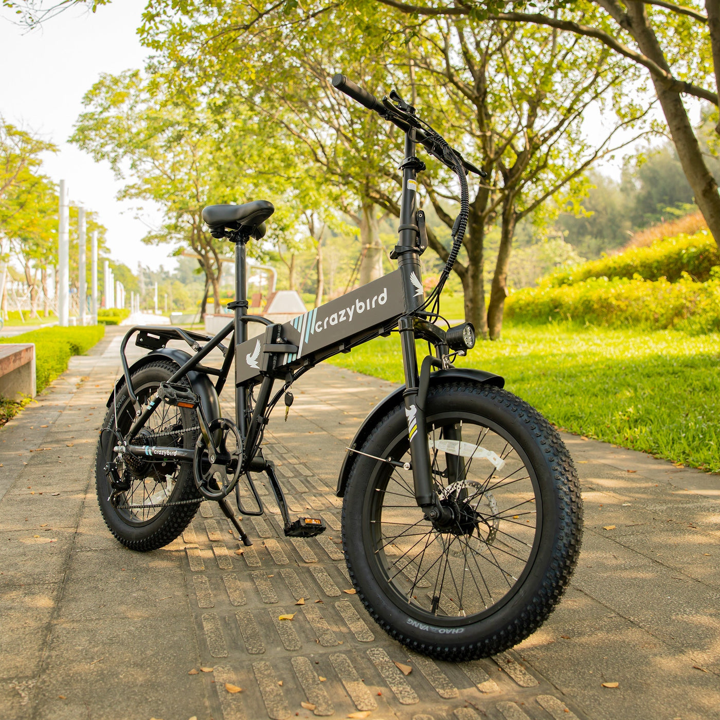 Crazybird CB10 foldable ebike