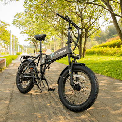 Crazybird CB10 foldable ebike