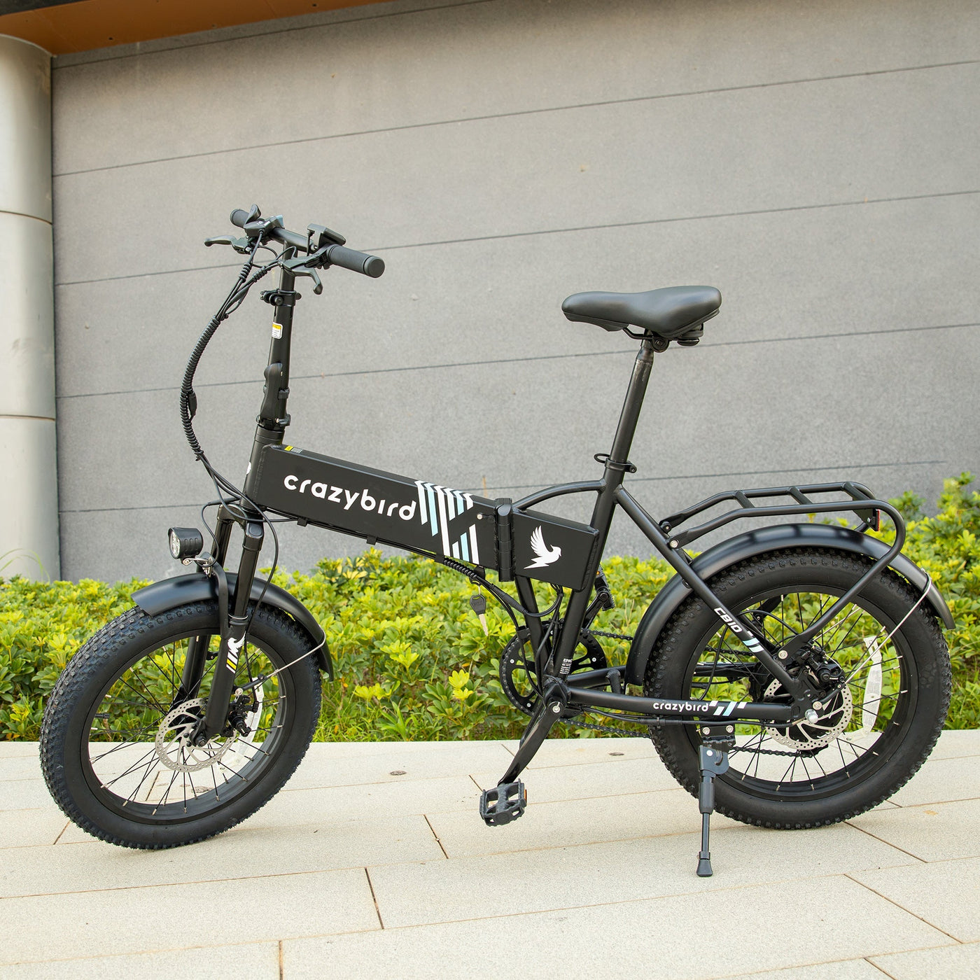 Crazybird CB10 foldable ebike