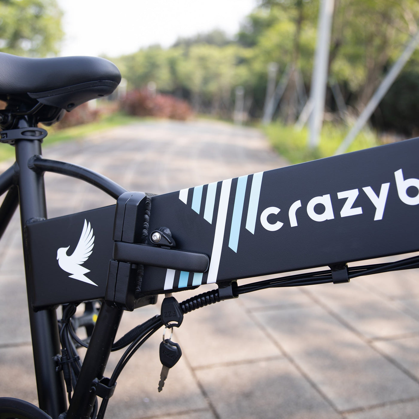 Crazybird CB10 foldable ebike