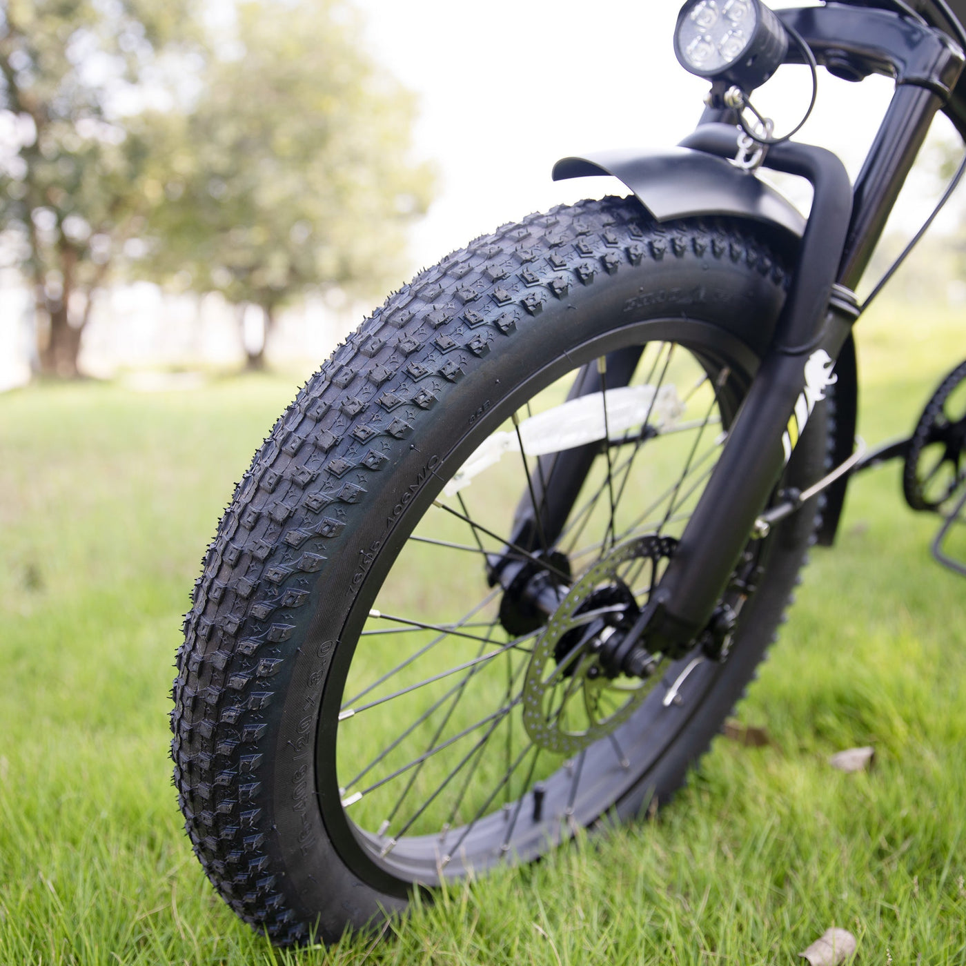 Crazybird CB10 foldable ebike