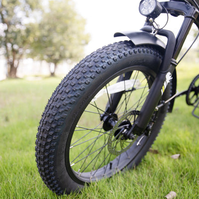 Crazybird CB10 foldable ebike