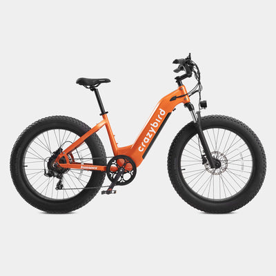Crazybird Jumper fat tire ebike