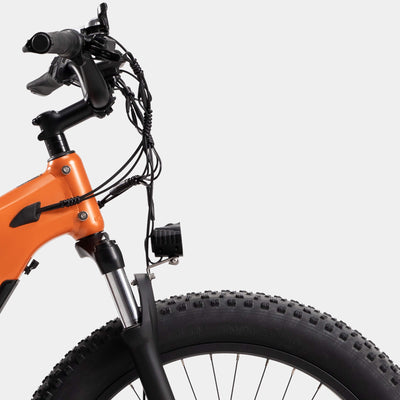 Crazybird Jumper fat tire ebike