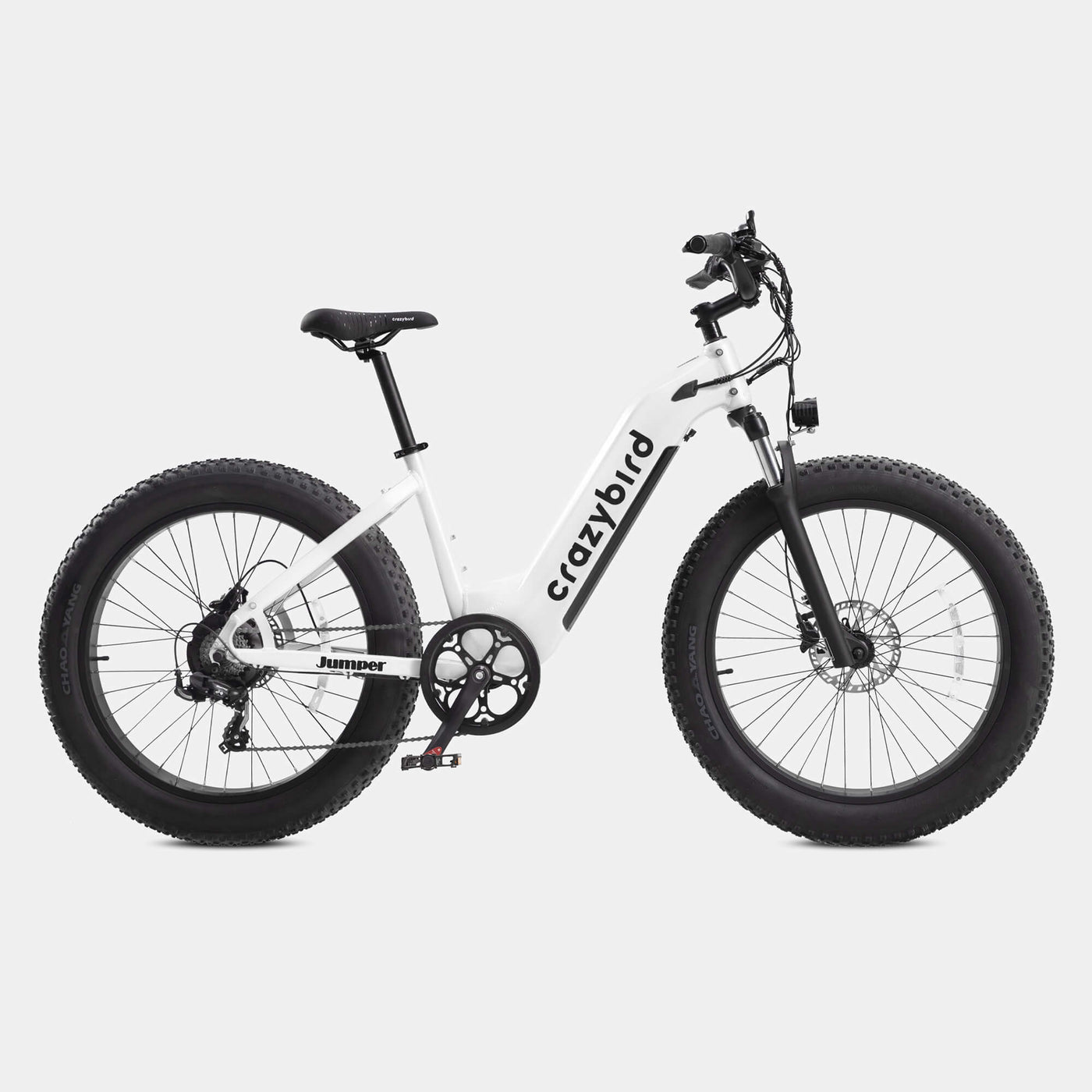 Crazybird Jumper fat tire ebike