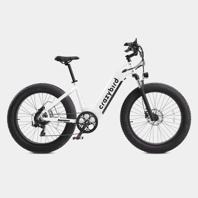 Crazybird Jumper fat tire ebike