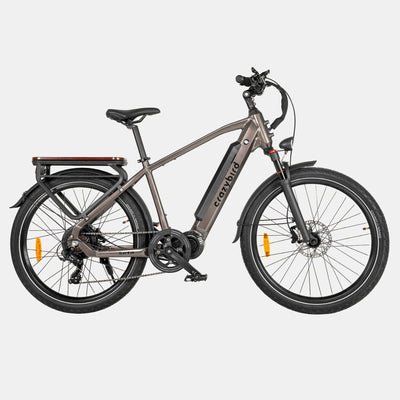 Crazybird Seta ebike