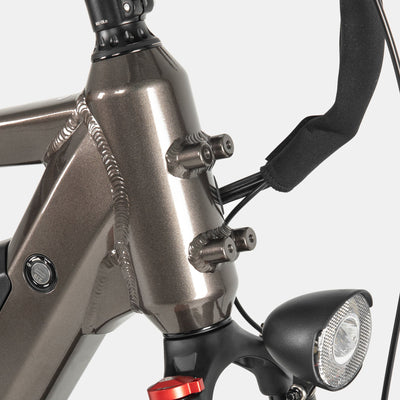 Crazybird Seta ebike