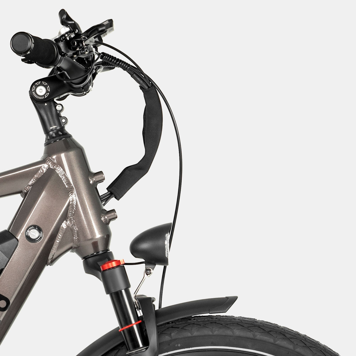 Crazybird Seta ebike