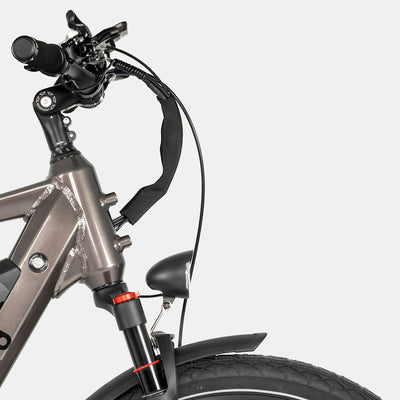 Crazybird Seta ebike