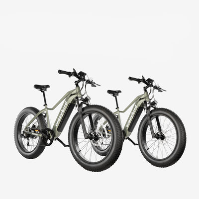 Crazybird Jumper fat tire ebike
