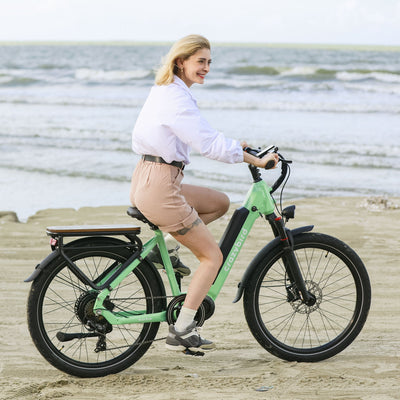 Crazybird Seta ebike
