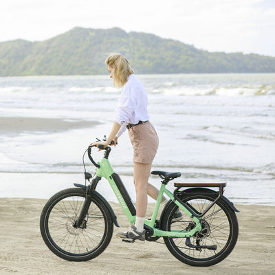 Crazybird Seta ebike