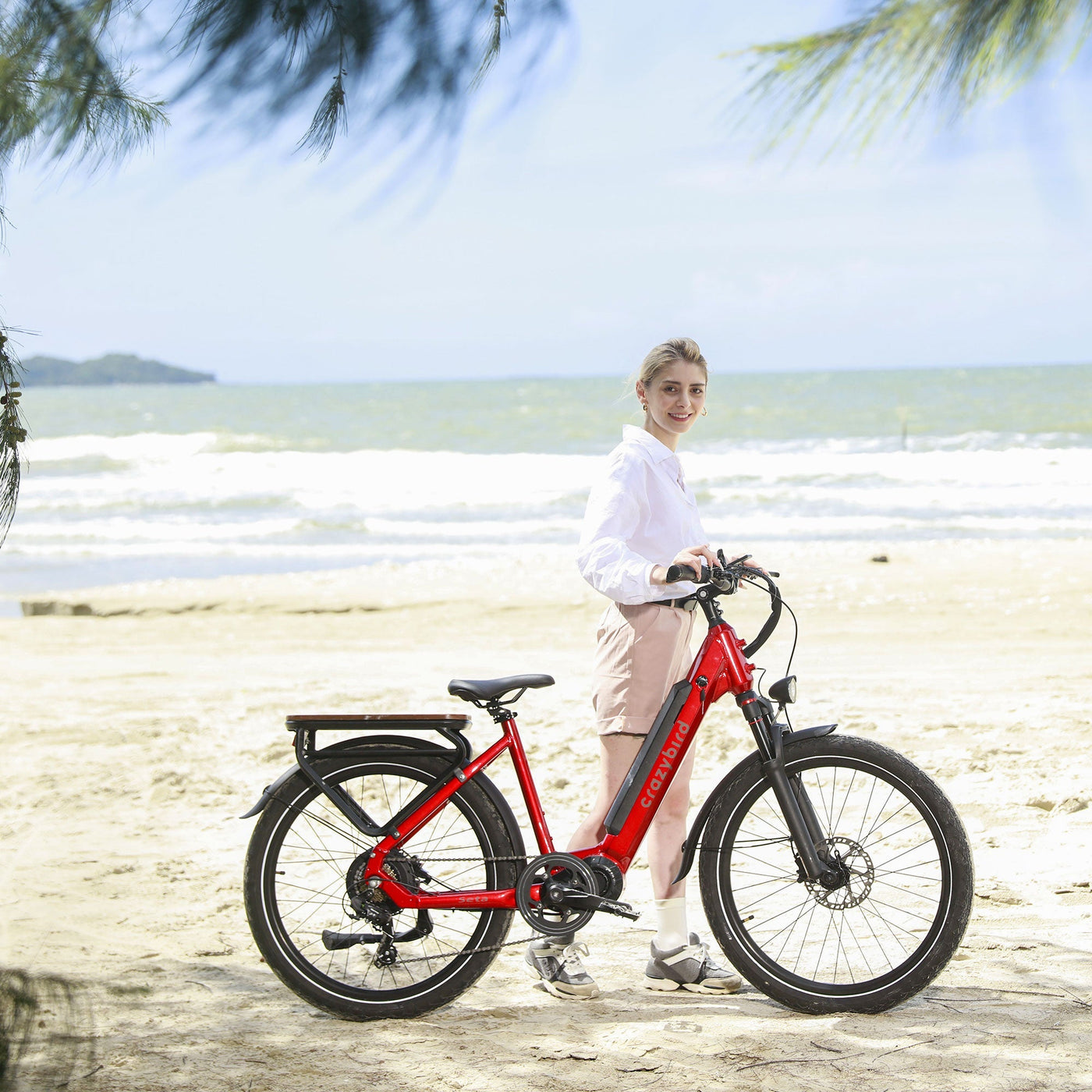 Crazybird Seta ebike
