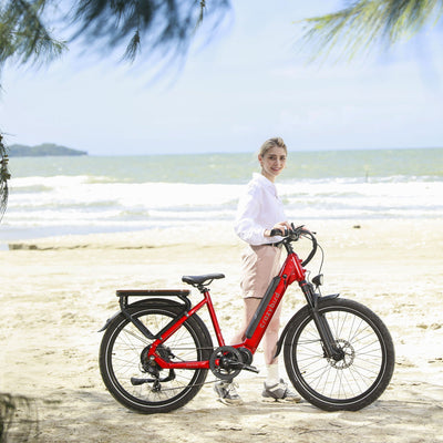 Crazybird Seta ebike