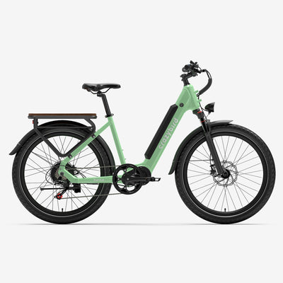 Crazybird Seta ebike