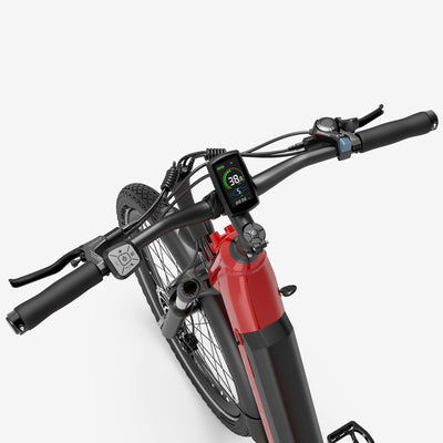 Crazybird Seta ebike