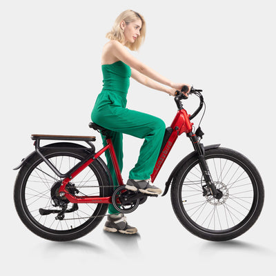 Crazybird Seta ebike